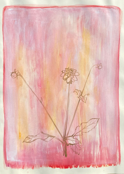 Gold Dahlia on Pink Scrim