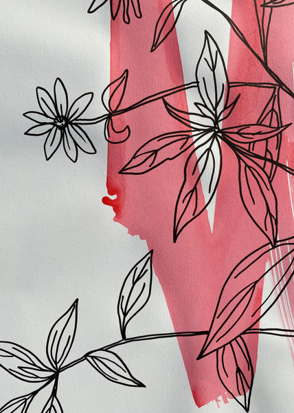 Black Swamp Sunflower on Hot Pink