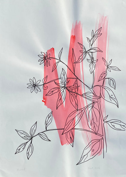 Black Swamp Sunflower on Hot Pink