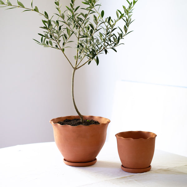 Large Pot | Eden