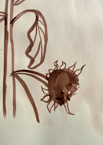 Dying Sunflowers