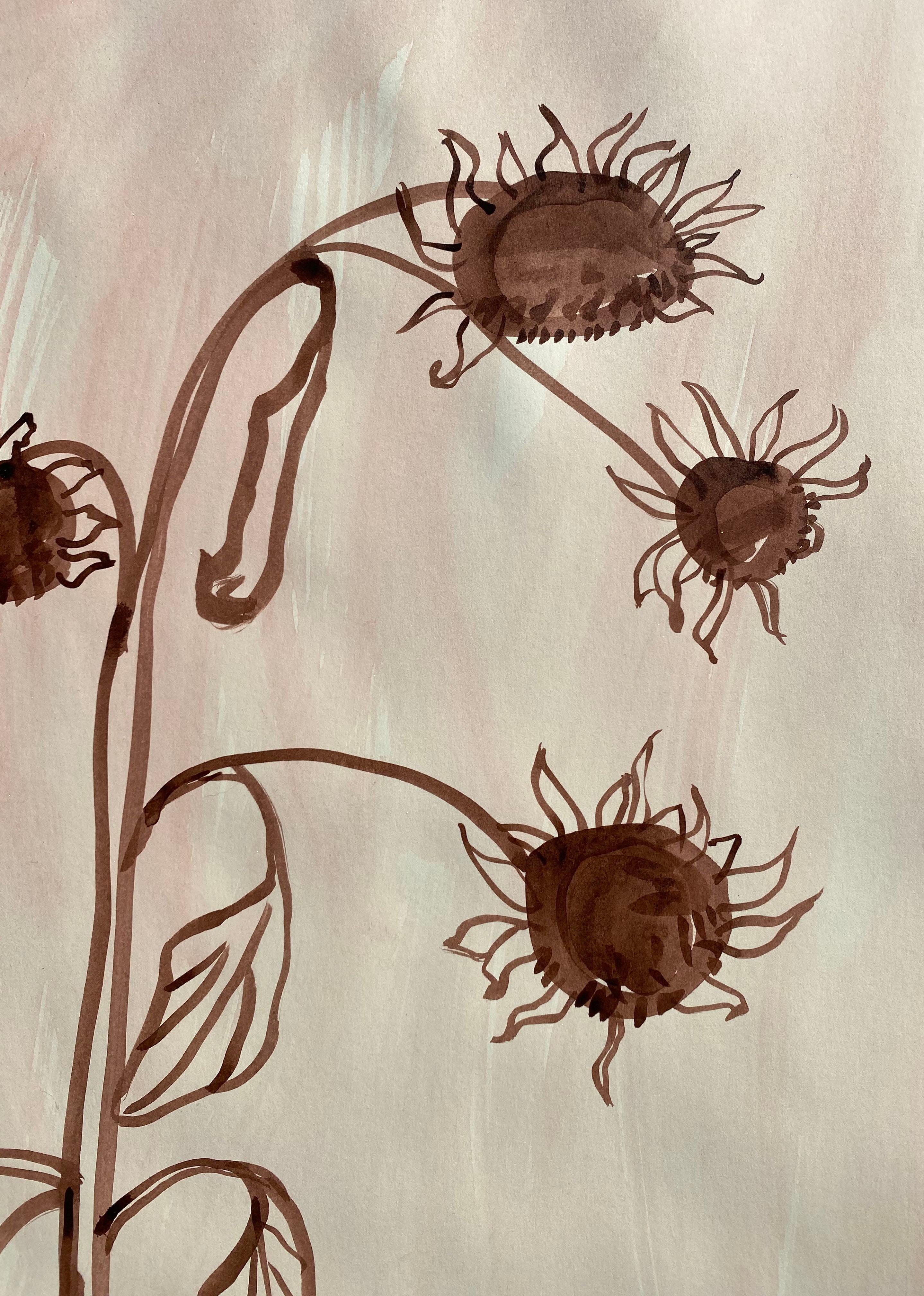 Dying Sunflowers
