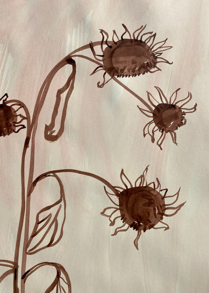 Dying Sunflowers