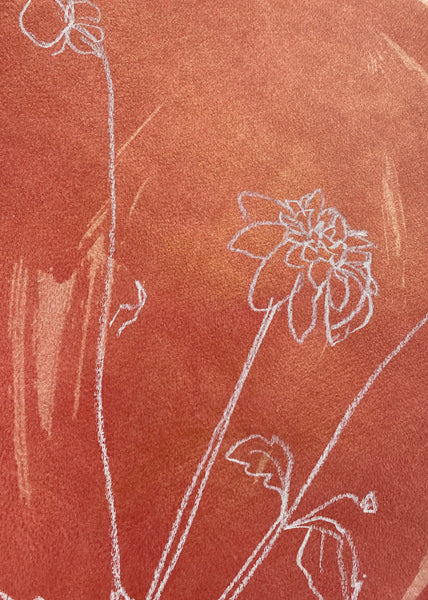 Pink Dahlia
