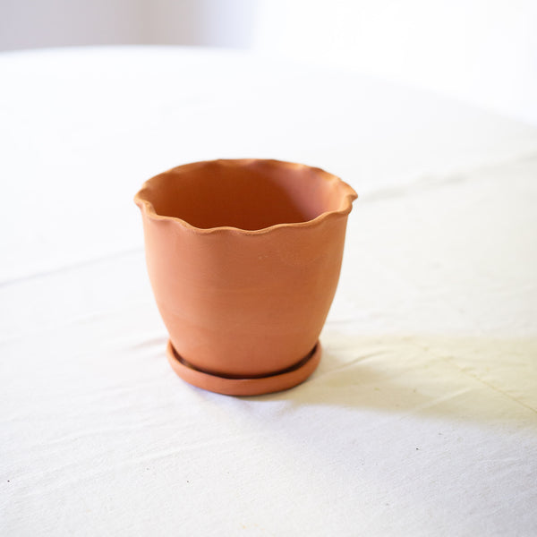 Small Pot | Eden