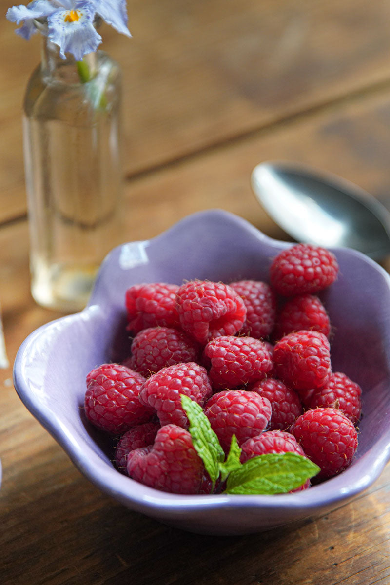 Floralform Dipping Bowl | Mysteria