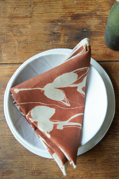 Terra Napkin Set | Clay