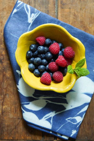 Terra Napkin Set | Indigo